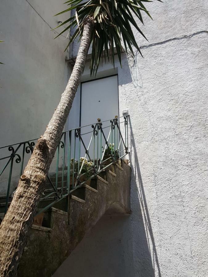 My Home Península Sorrentina Exterior foto